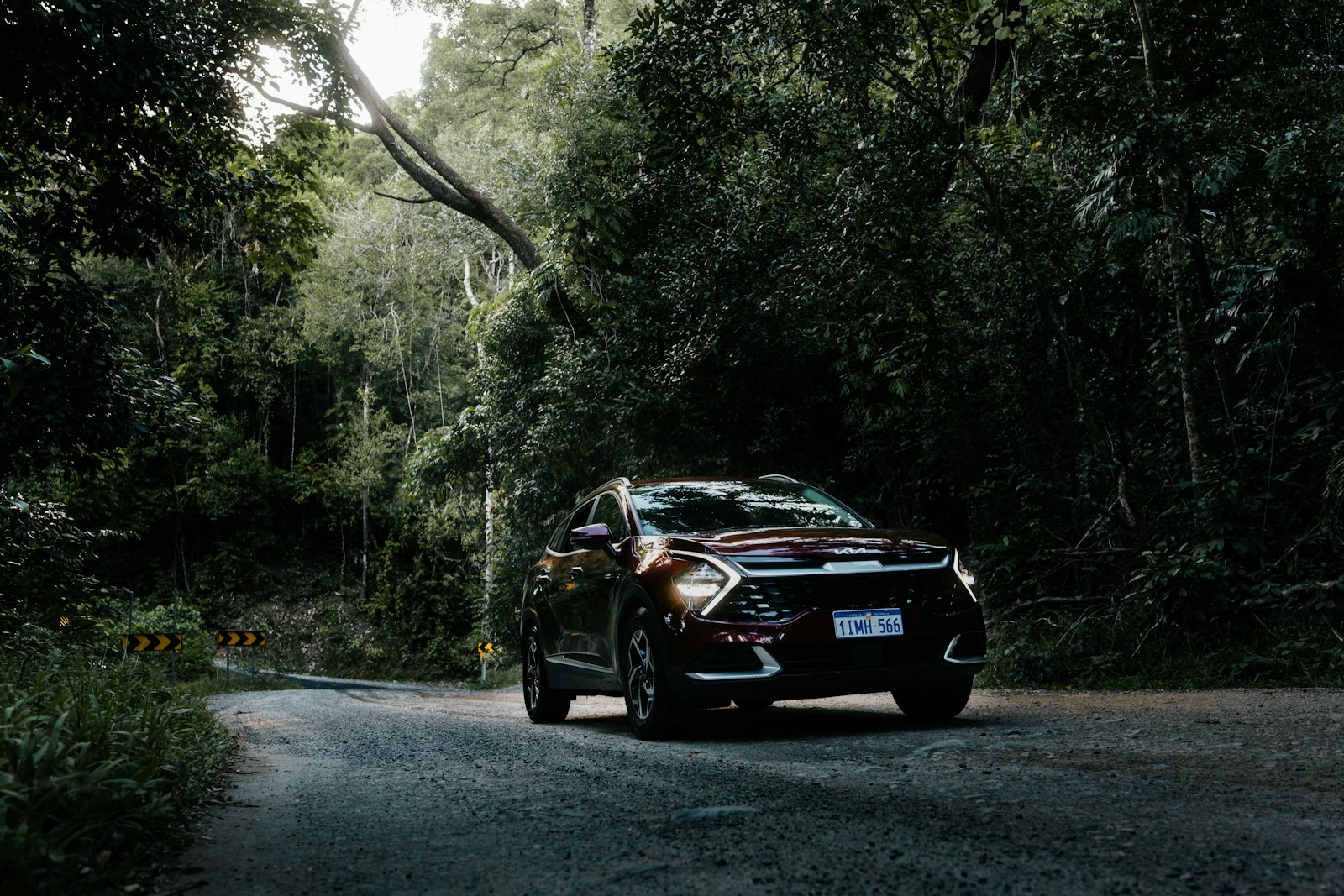 Dark red SUV on a narrow gravel road through a dense forest, the kind of access road cars for hiking must handle