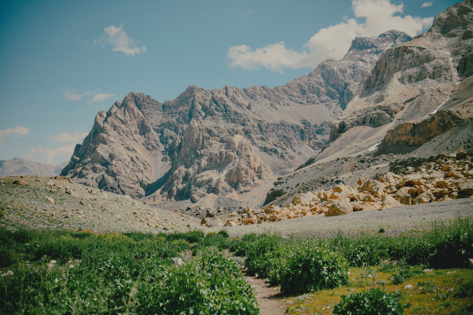 Dirt path through green bushes below rocky alpine peaks, the kind of trail where a hiking stick earns its place