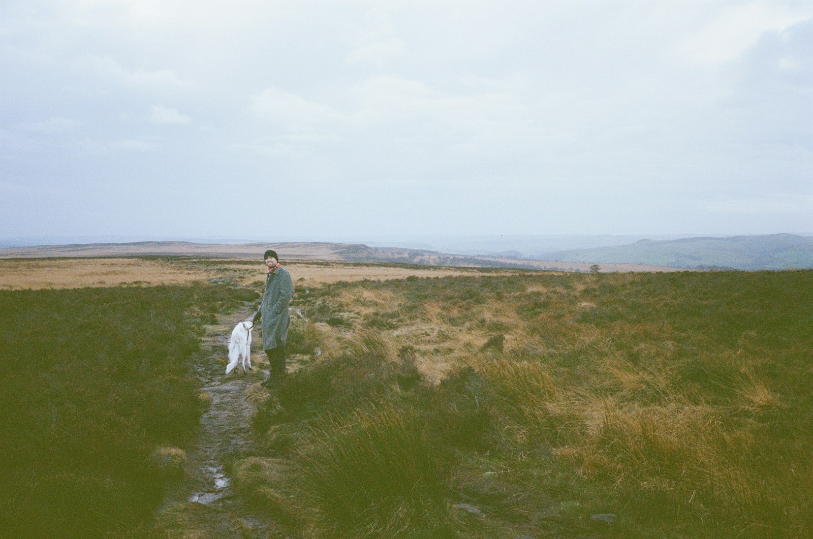 Dog friendly hiking trails: a walker and dog on a muddy path across a vast grassy landscape