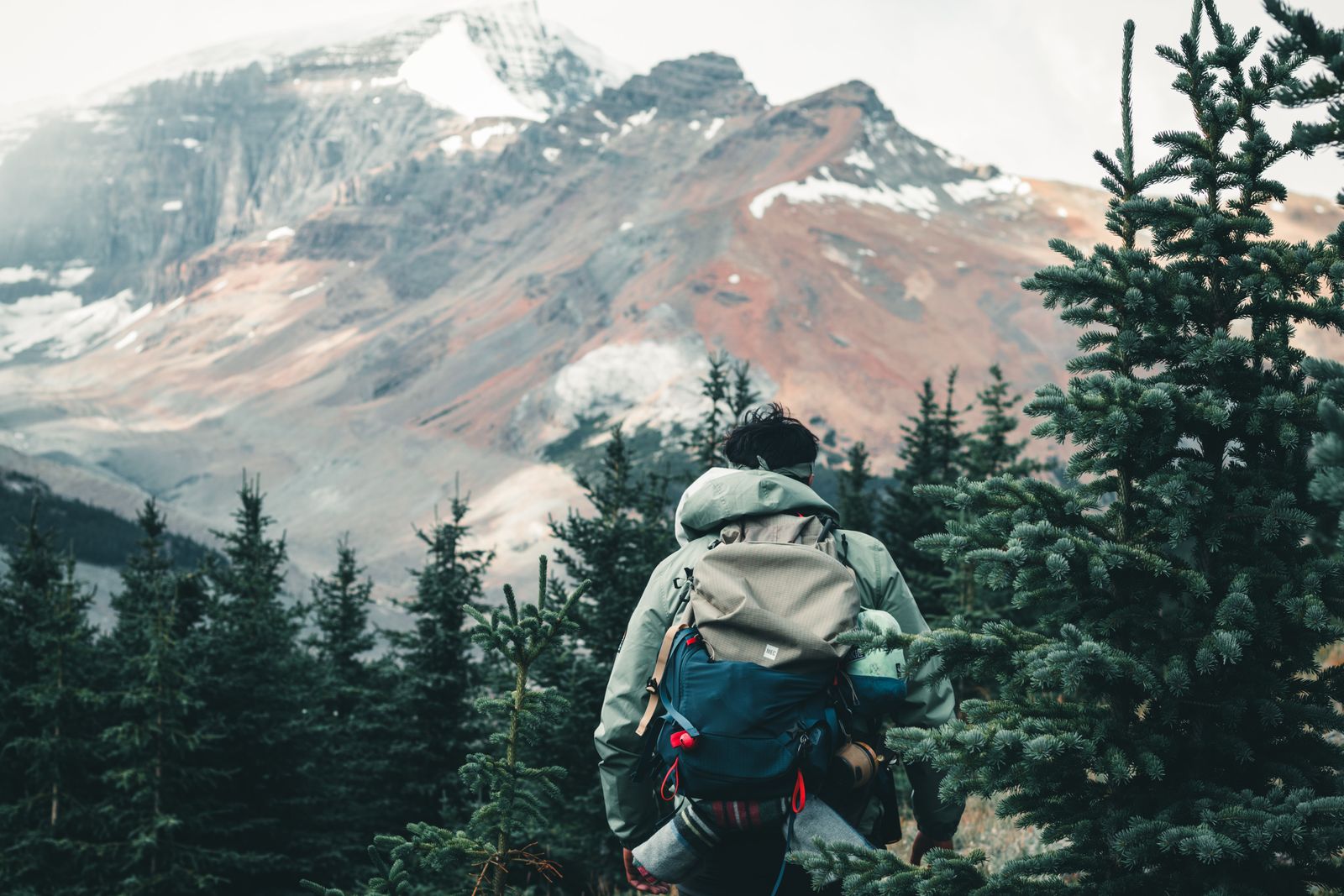 Hiker wearing a green hiking hoodie with a backpack on a forested mountain trail