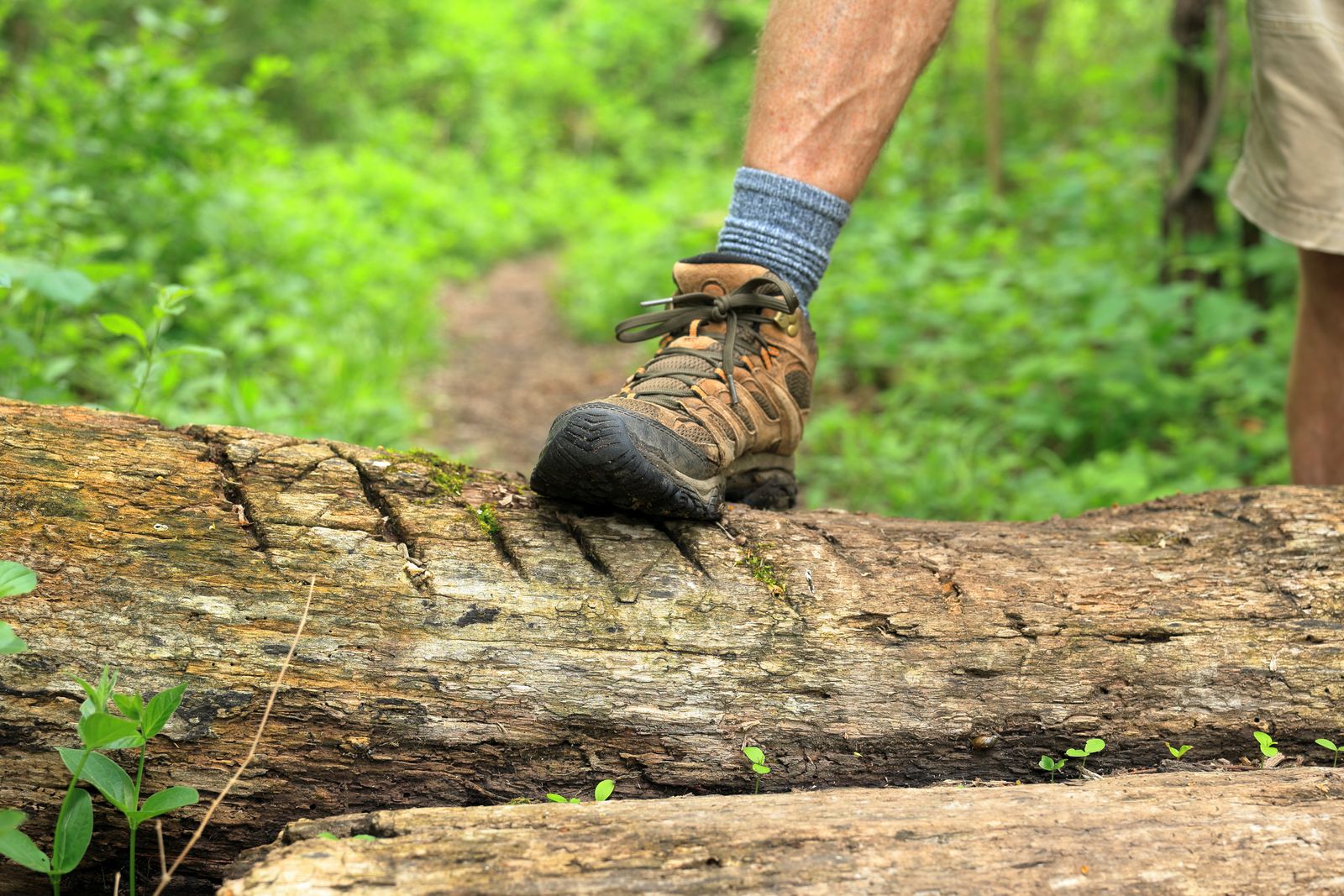 Hiking boot stepping over a fallen log, a hiking quiz reminder about foot care