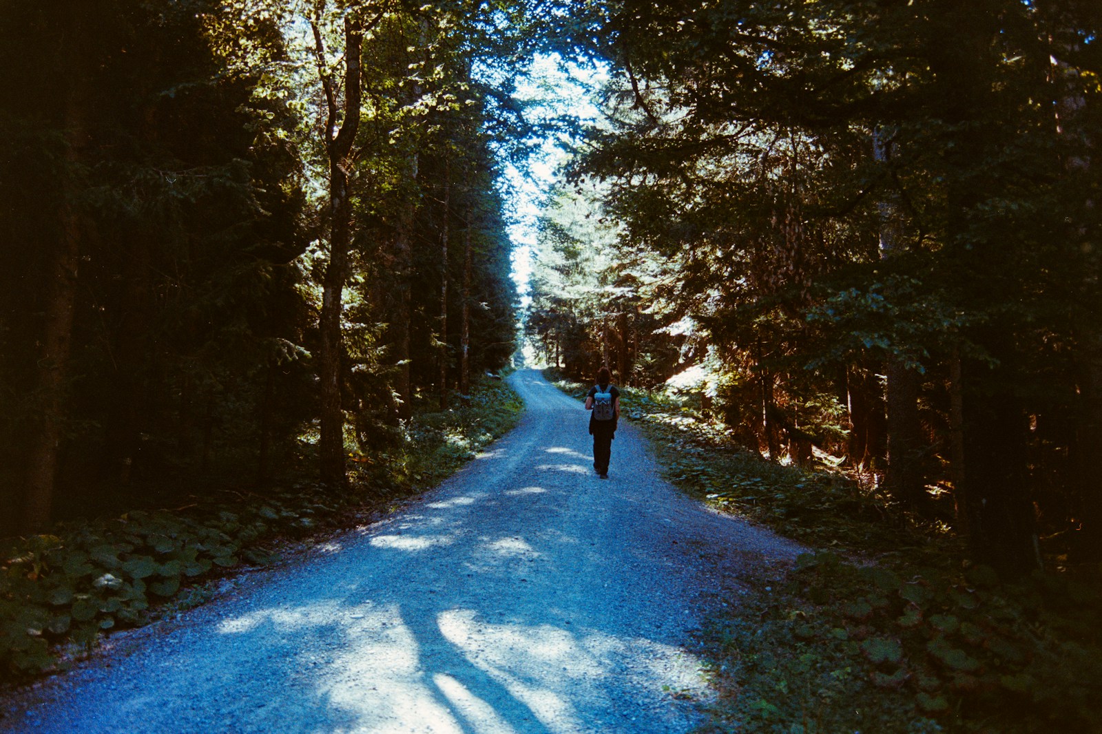 Hiker with a backpack on a local forest gravel trail close to home