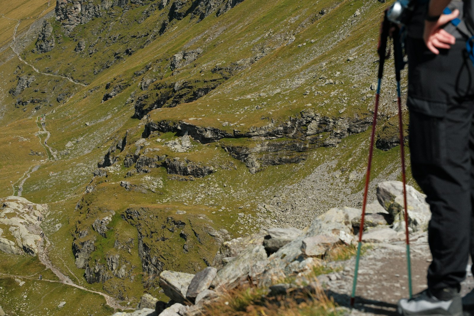Hiker using two trekking poles above a steep green mountain valley
