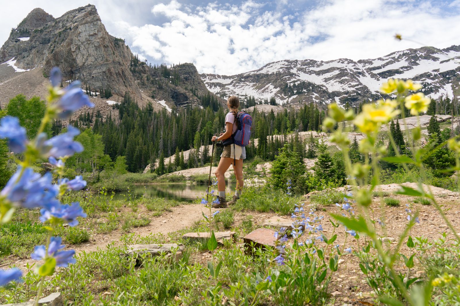 Woman hiking a mountain trail through wildflowers, the kind of summer route womens hiking shorts are made for